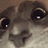 Marcus